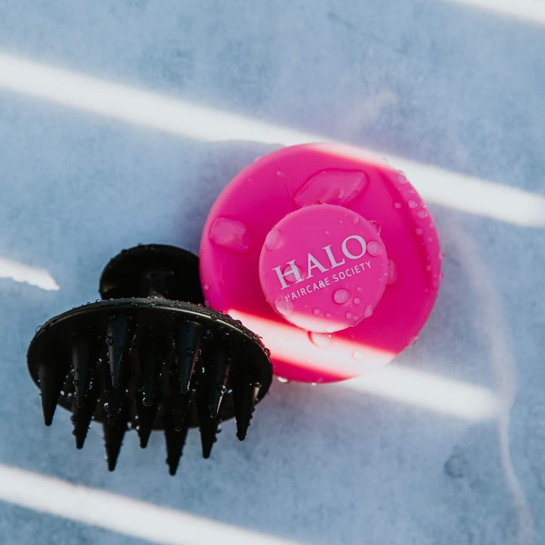 Ultimate Dandruff and Seborrheic Dermatitis Bundle